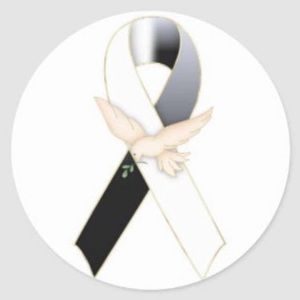 Meet your Posher, Luz